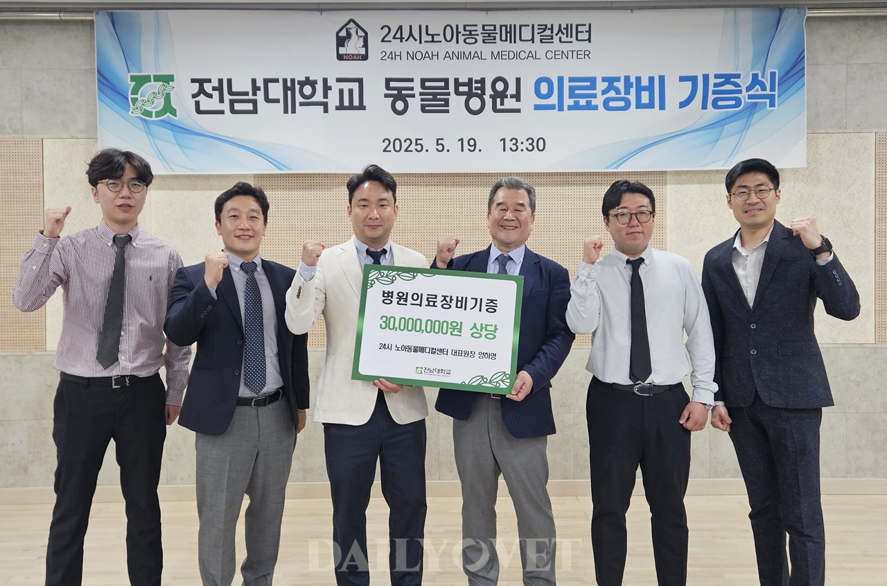 데일리벳 추천