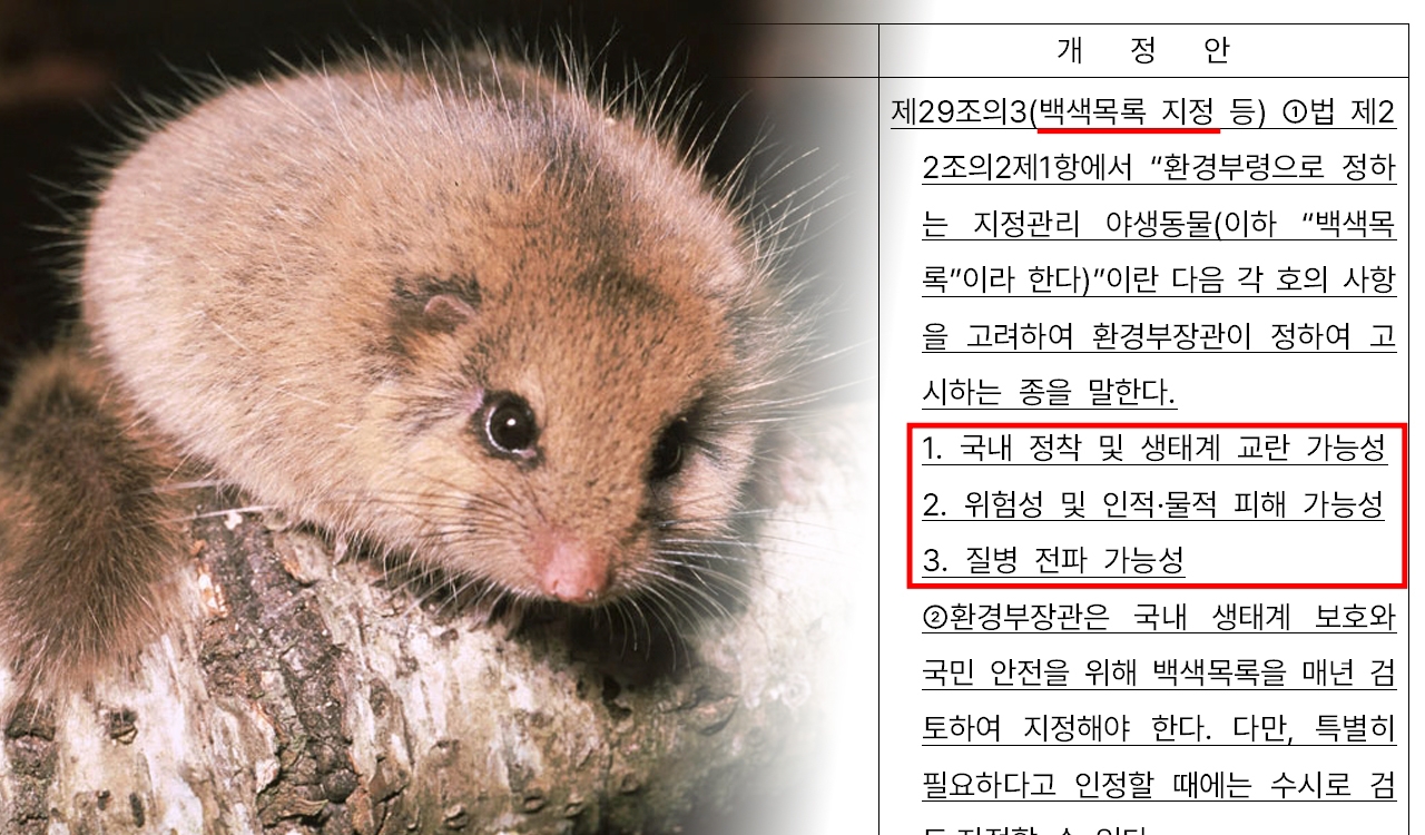특수동물 사육·진료시장 커지는데..‘백색목록’ 규제에 벽 부딪힐까