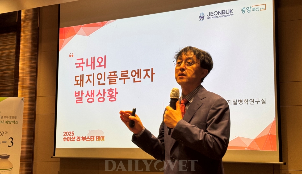 벳플레이스