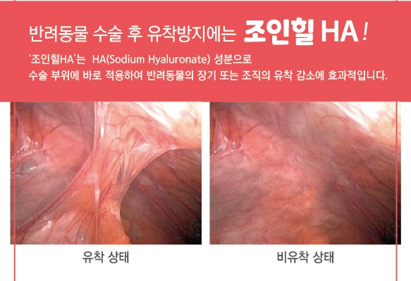 동물전용 관절주사제 유니메드제약 ‘조인힐HA’, 수술 후 유착방지제로도 허가