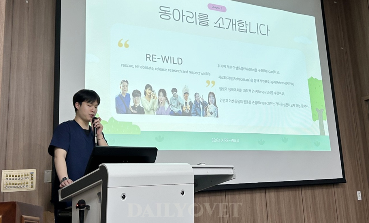 데일리벳 사이트