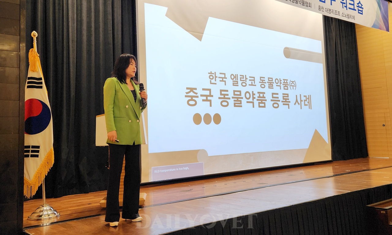 데일리벳 도박