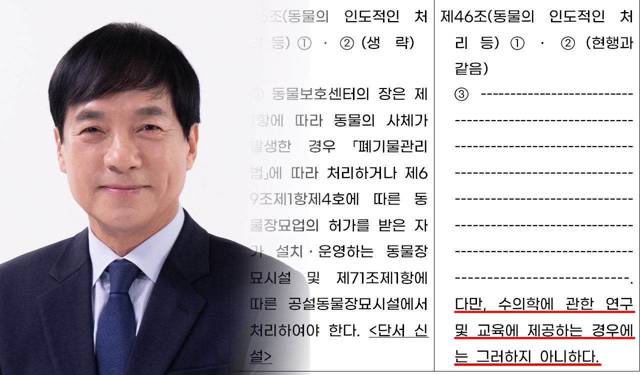 ‘안락사된 유기동물 사체, 수의학 교육 기증 허용’ 동물보호법 개정안 나와