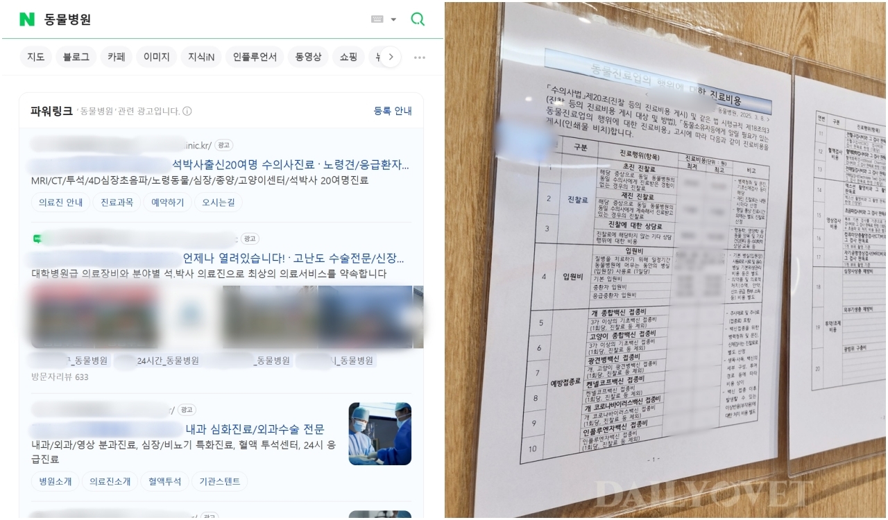 데일리벳 추천