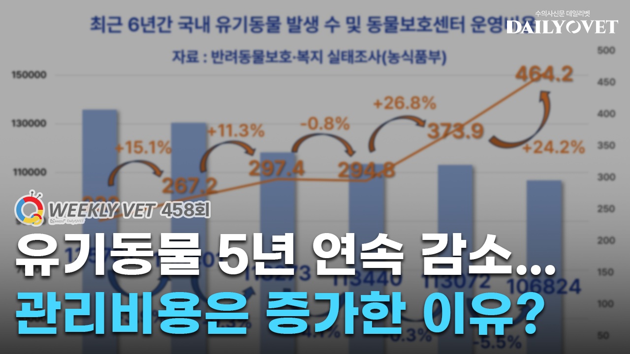 데일리벳 카지노 사이트