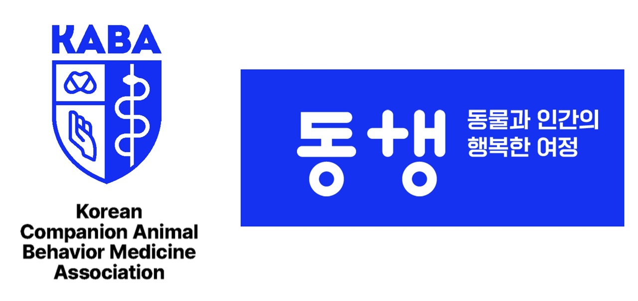데일리벳 포럼