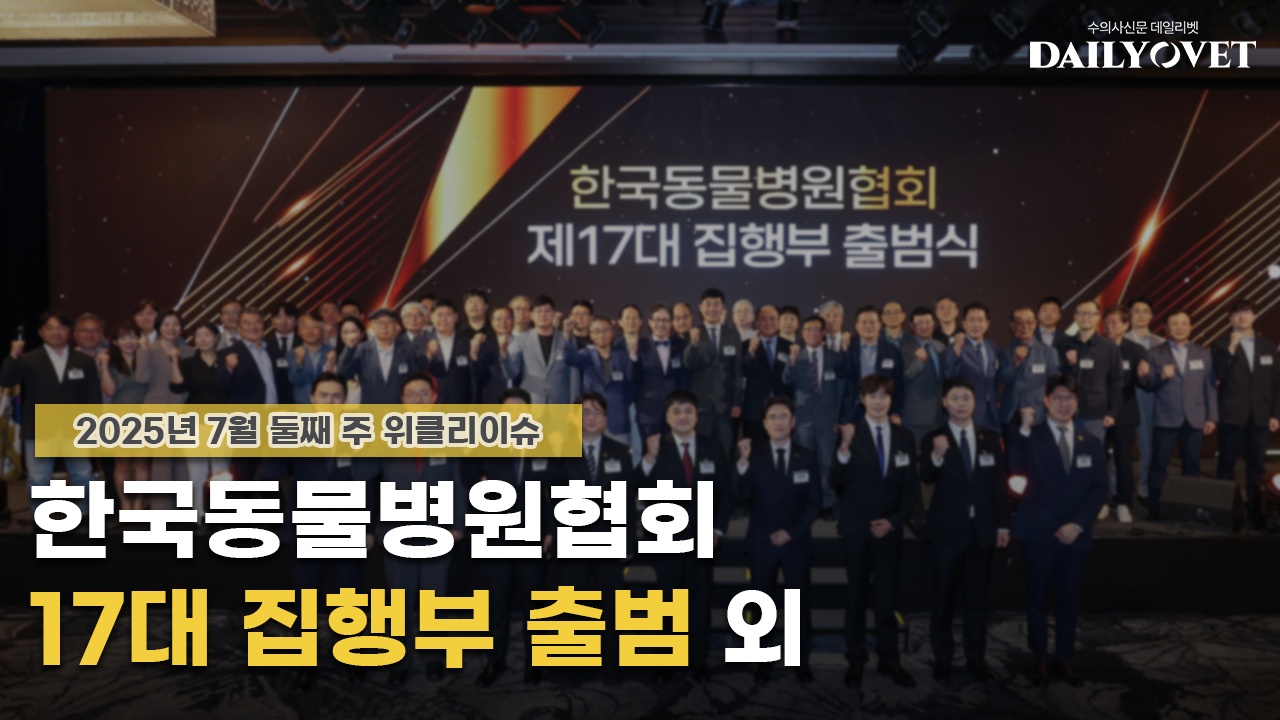 데일리벳 카지노 사이트