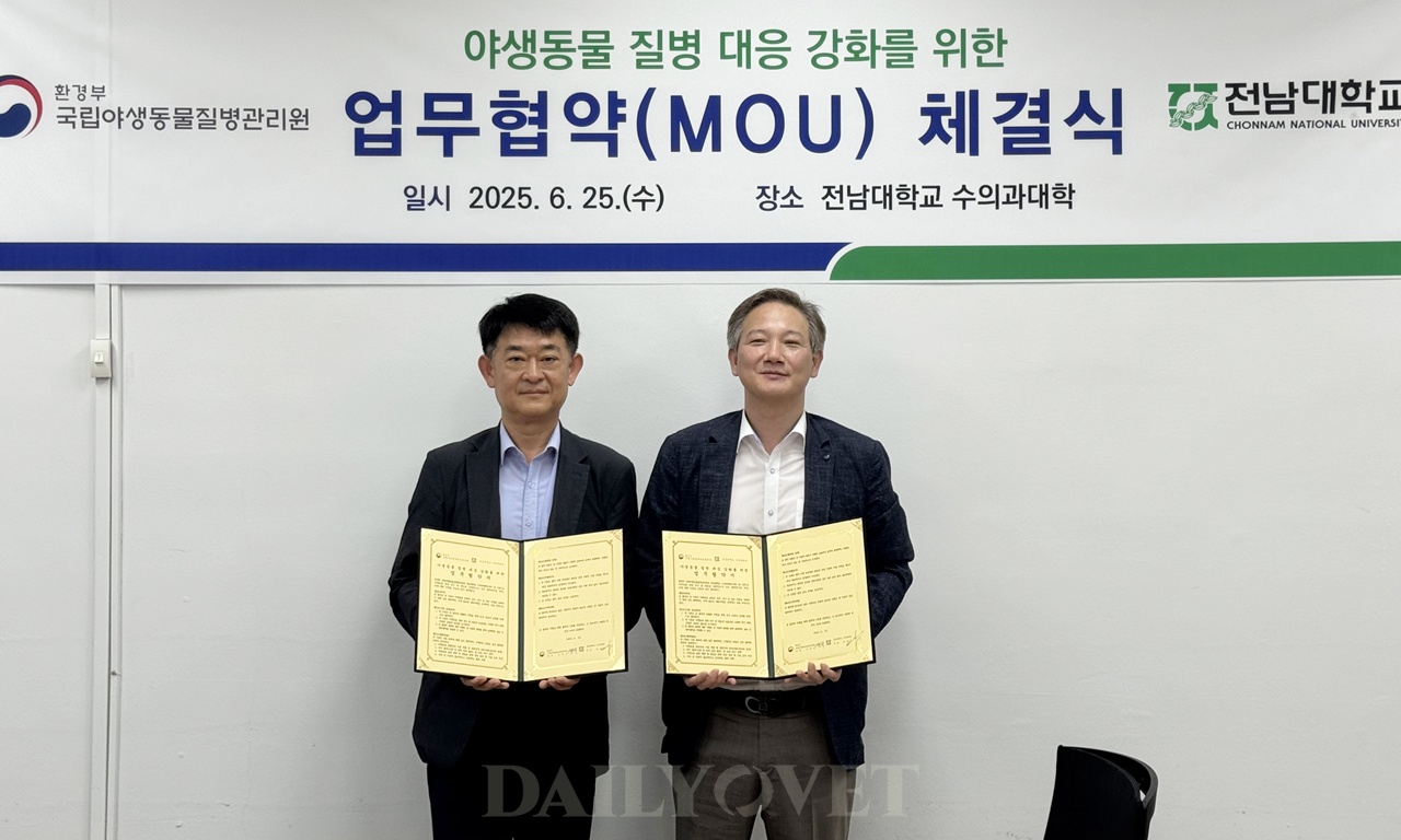 벳플레이스