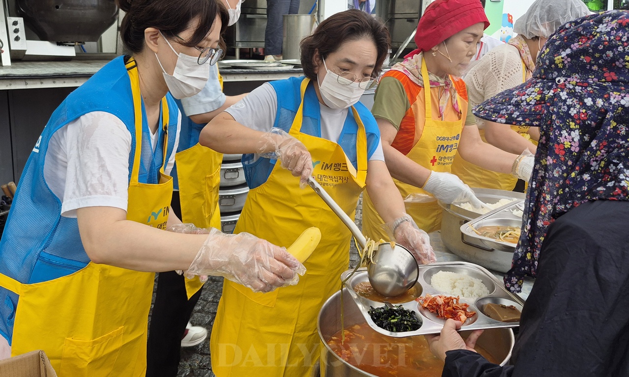 벳플레이스