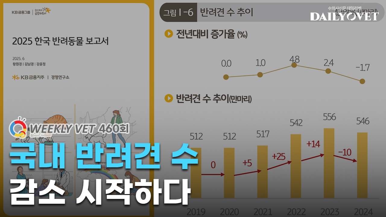 데일리벳 슬롯 사이트