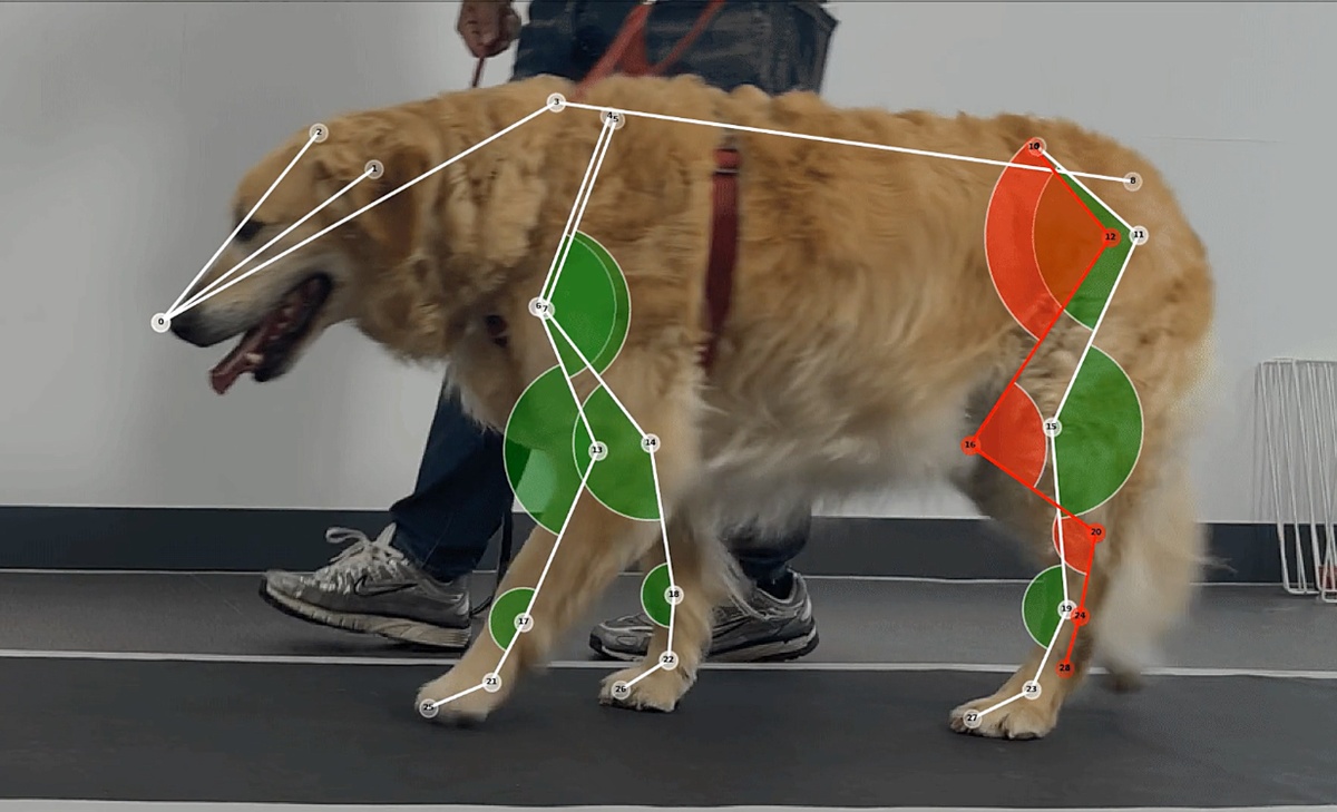 스마트폰으로 걷는 모습 촬영하면 1분 안에 ROM, 파행여부 자동 분석