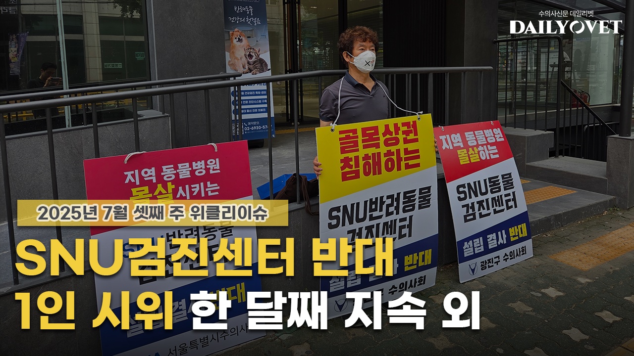 데일리벳 커뮤니티