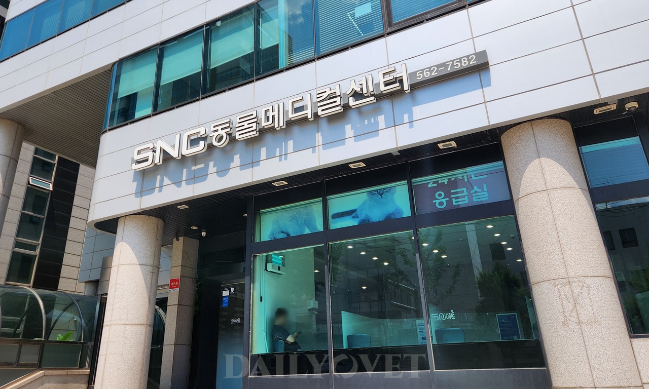 데일리벳 슬롯 사이트
