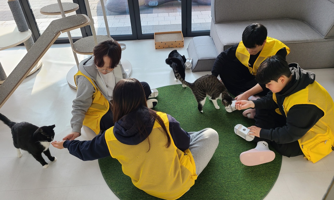 데일리벳 추천