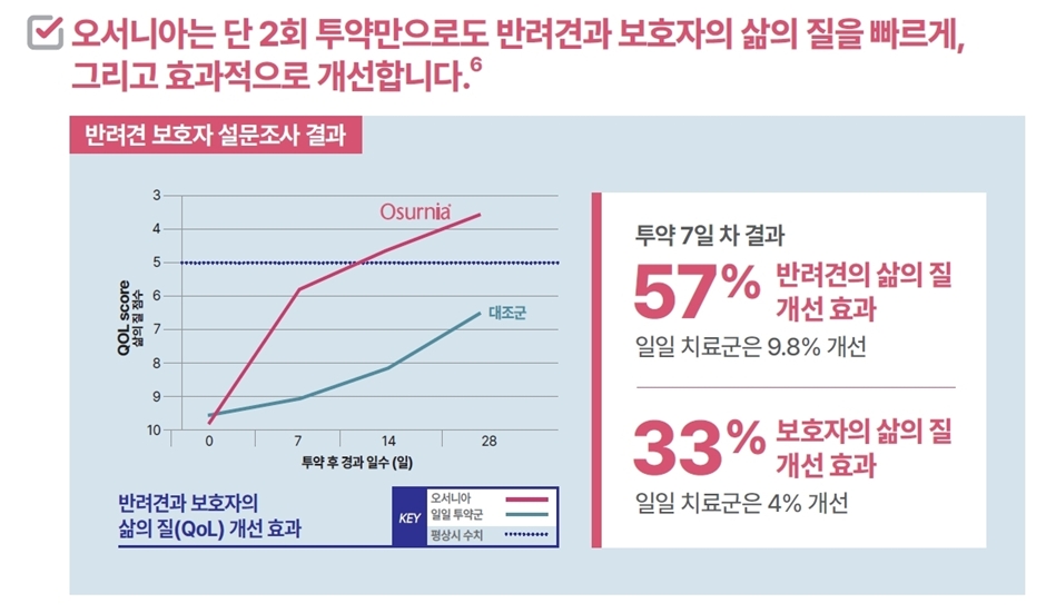 데일리벳 사이트