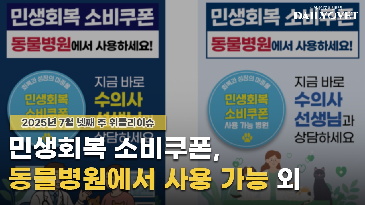 데일리벳 도박
