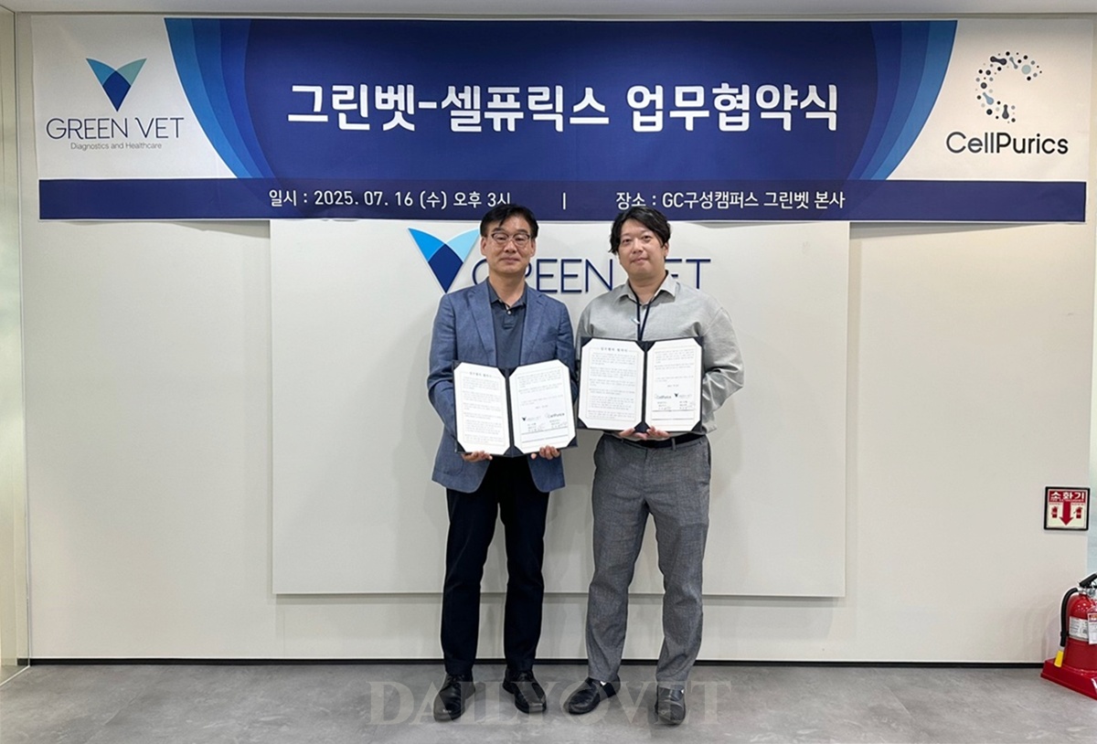 우리 데일리벳