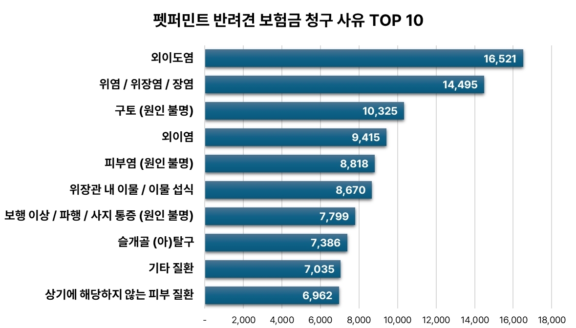 데일리벳 카지노 사이트