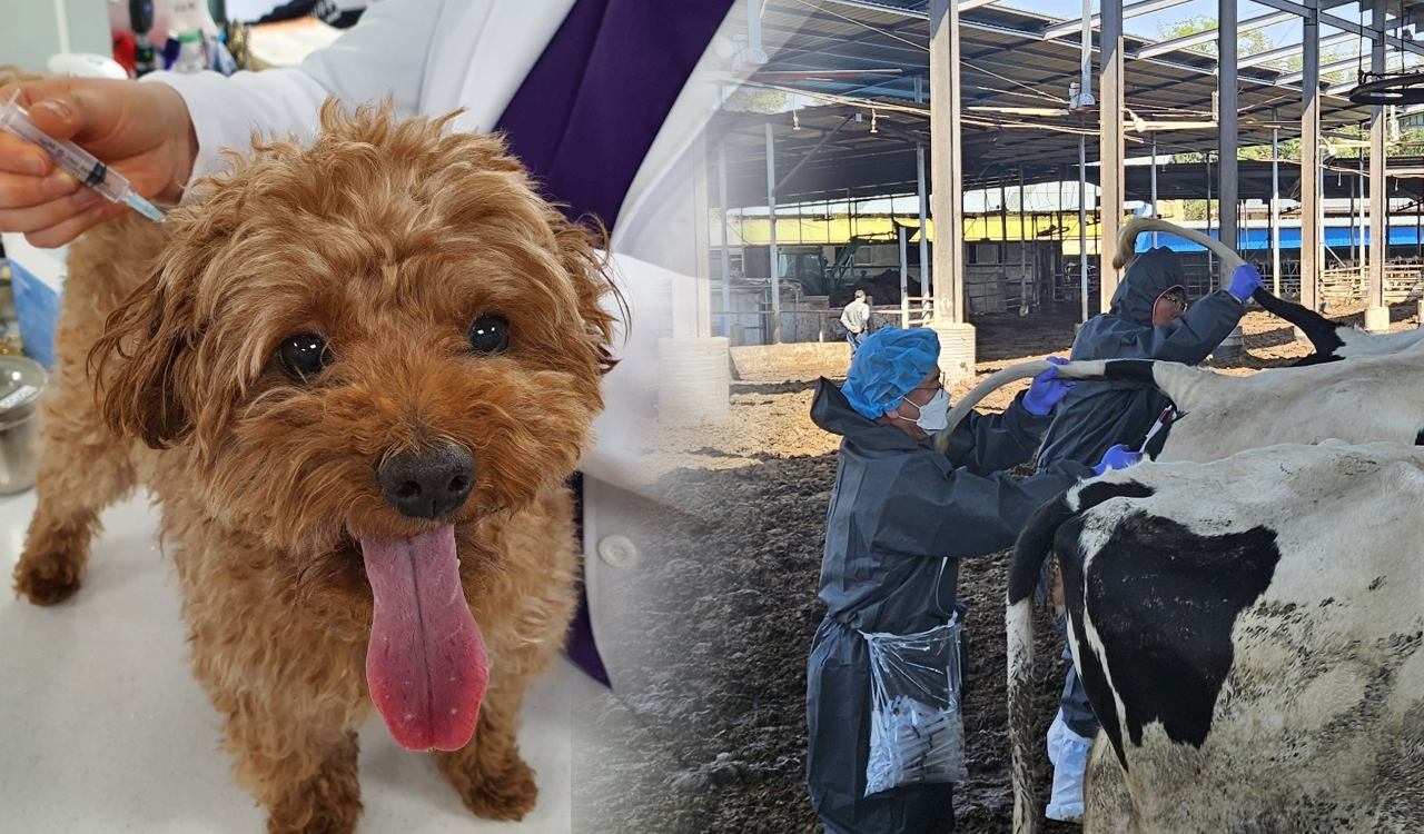 반려동물병원 늘고 농장동물병원 줄어든 경남