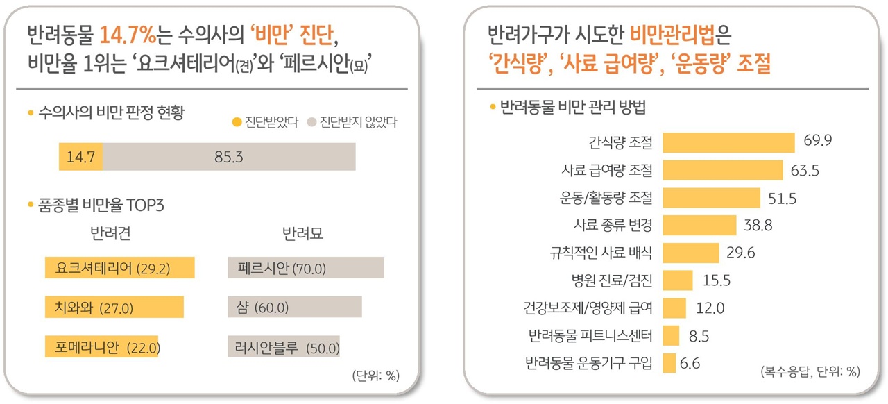데일리벳 사이트