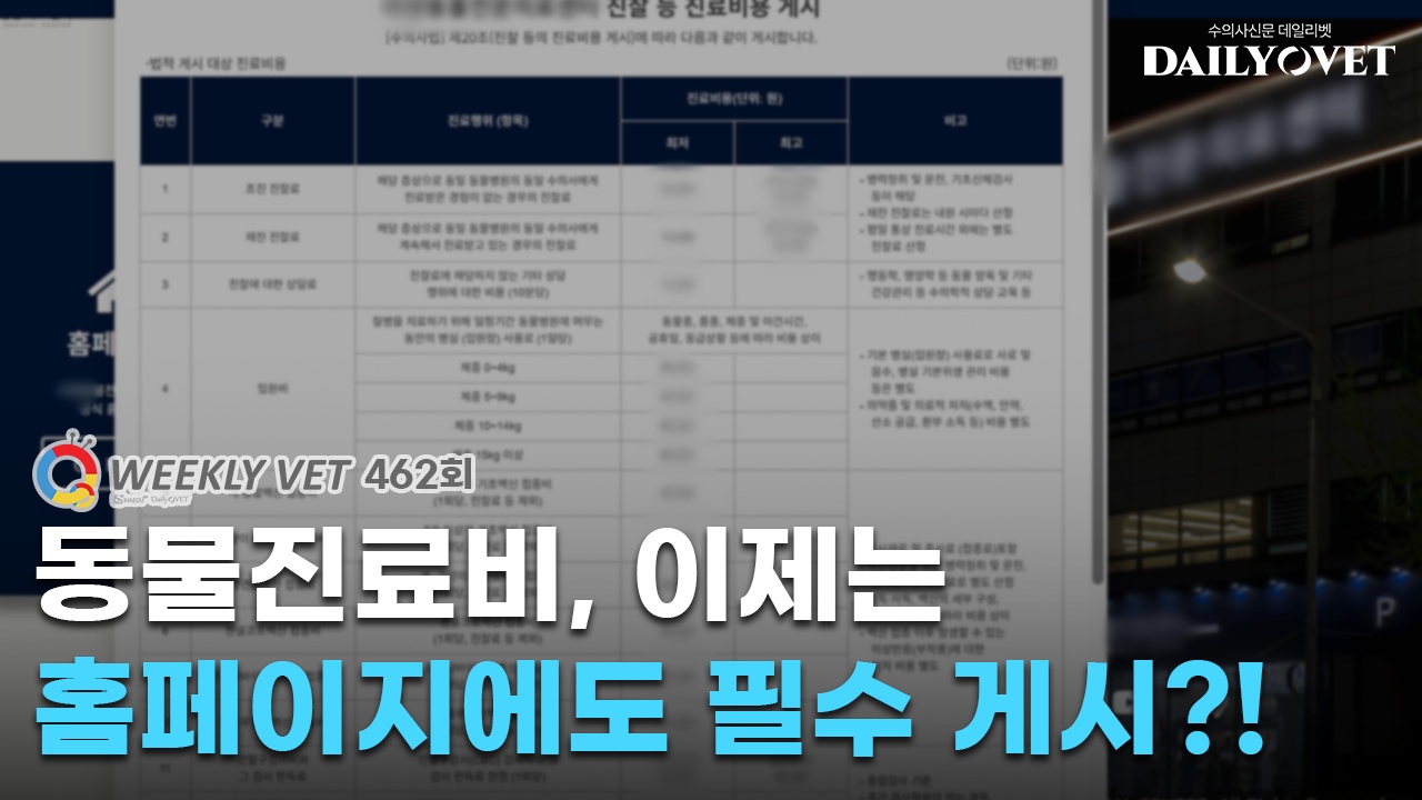 데일리벳 포럼