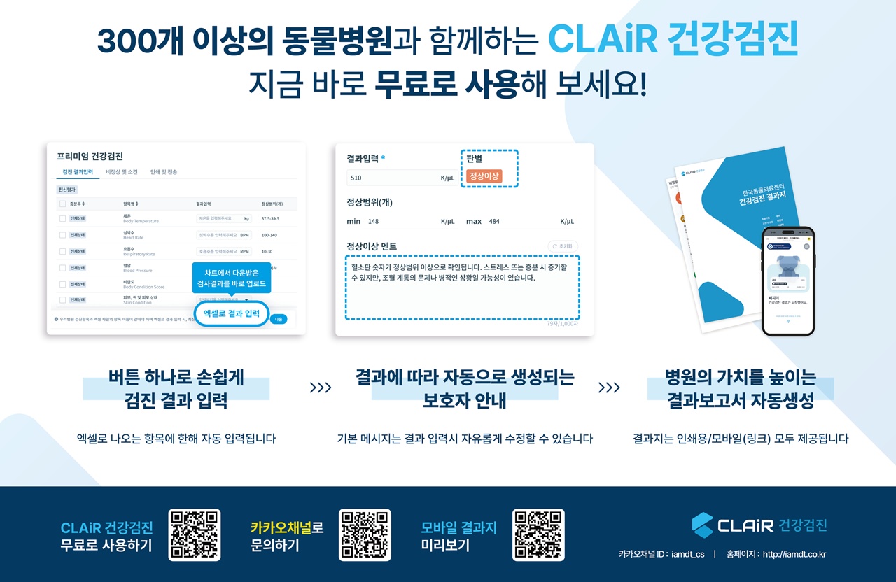 데일리벳 포럼