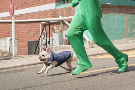드라마 절반 이상에 동물 출연하는데…촬영 현장에 수의사는 없다