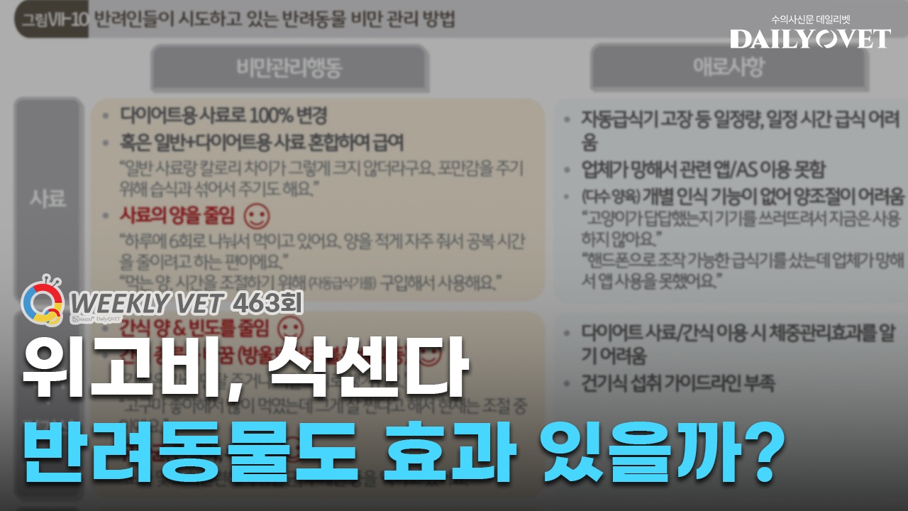 데일리벳 커뮤니티