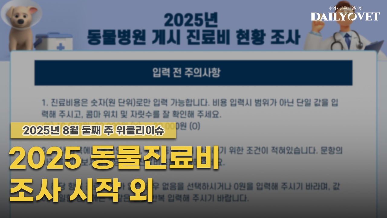 데일리벳 추천