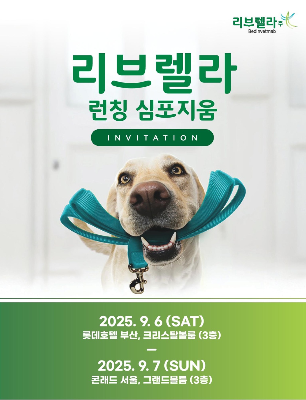 벳플레이스