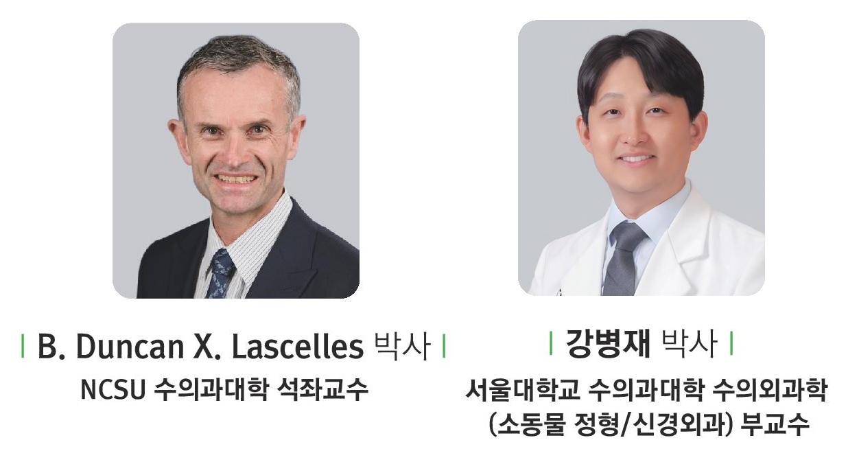 벳플레이스