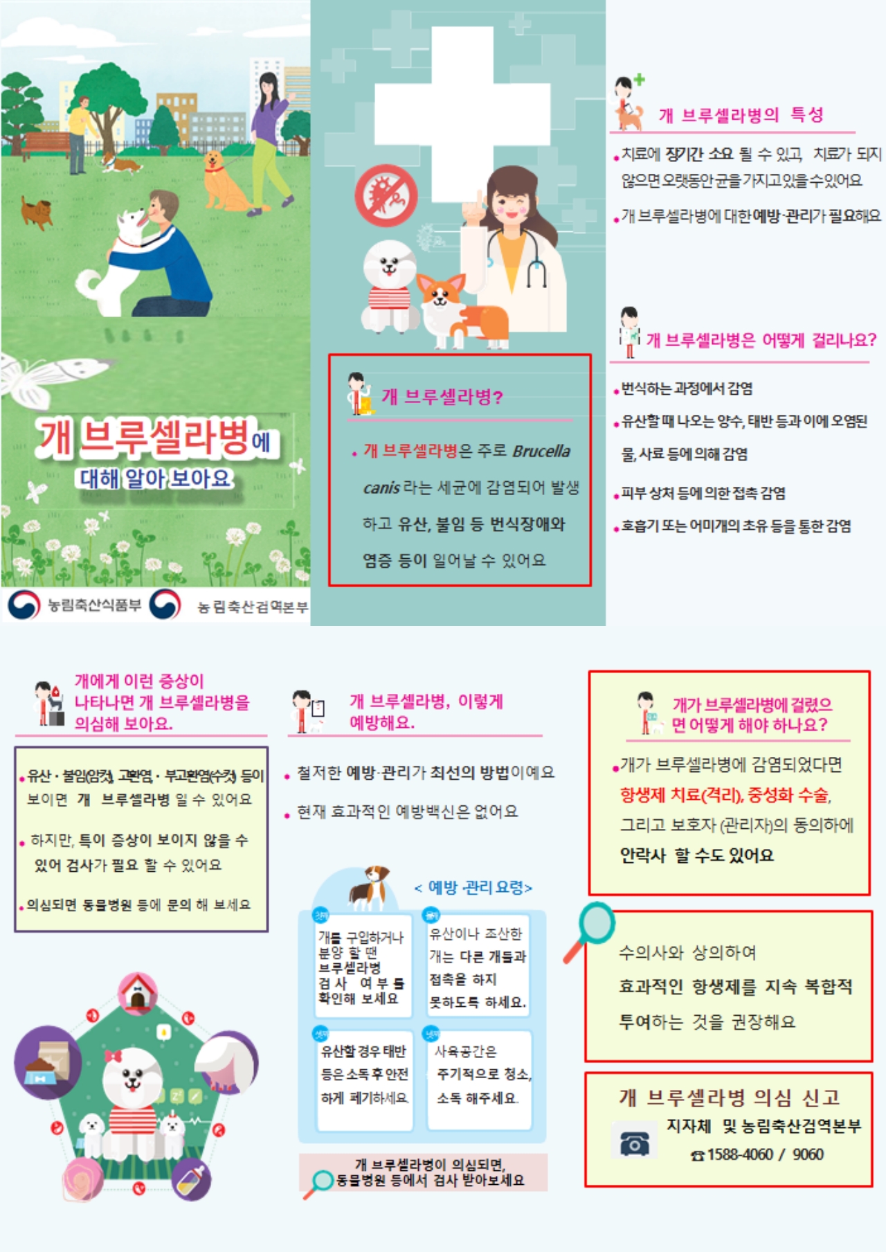 데일리벳 커뮤니티