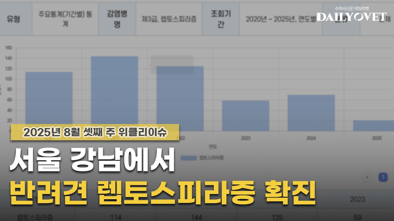 데일리벳 사이트