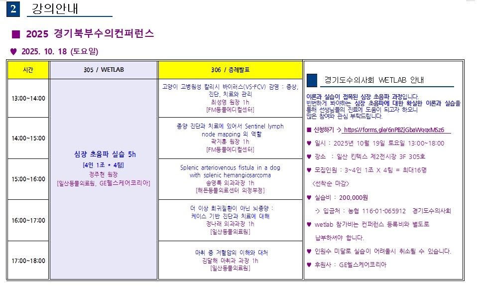 데일리벳 추천