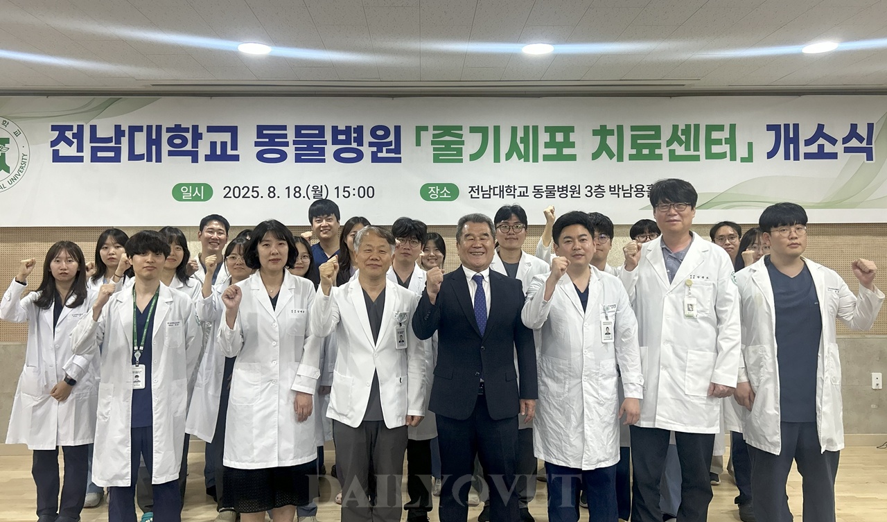 데일리벳 사이트