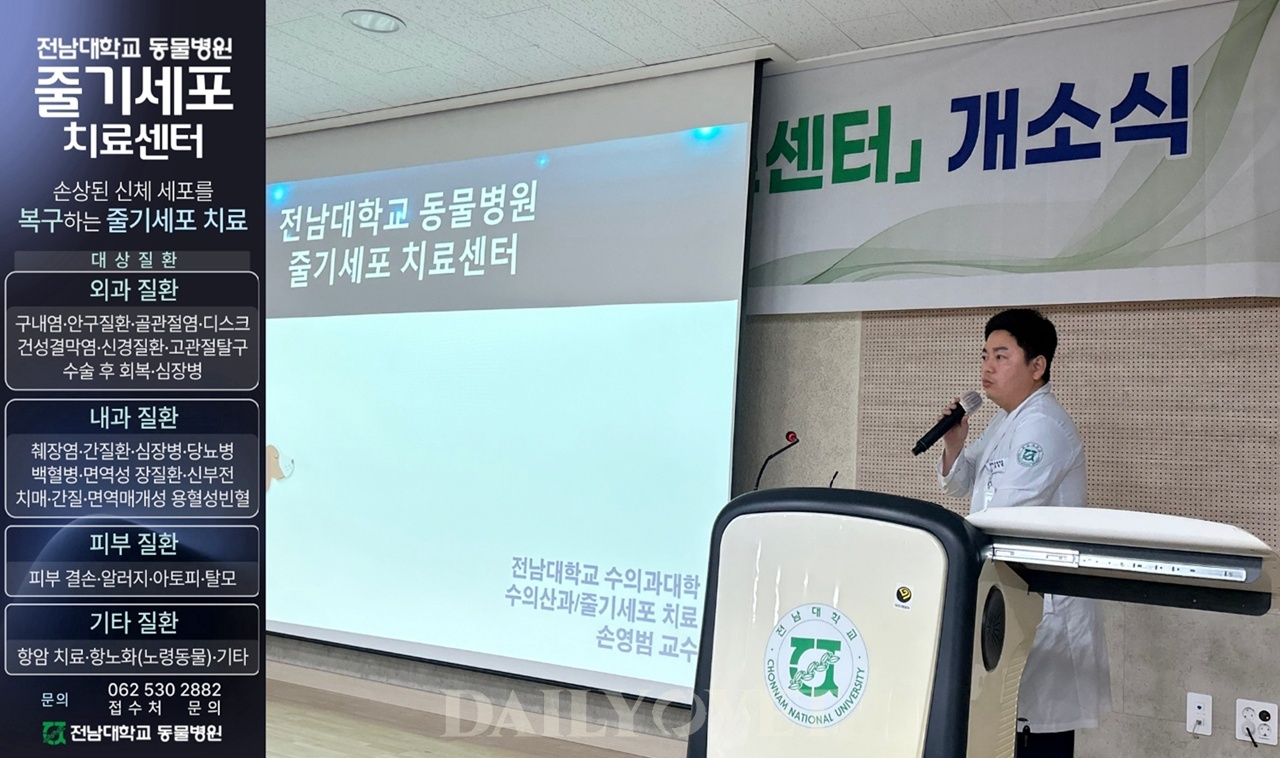 데일리벳 사이트