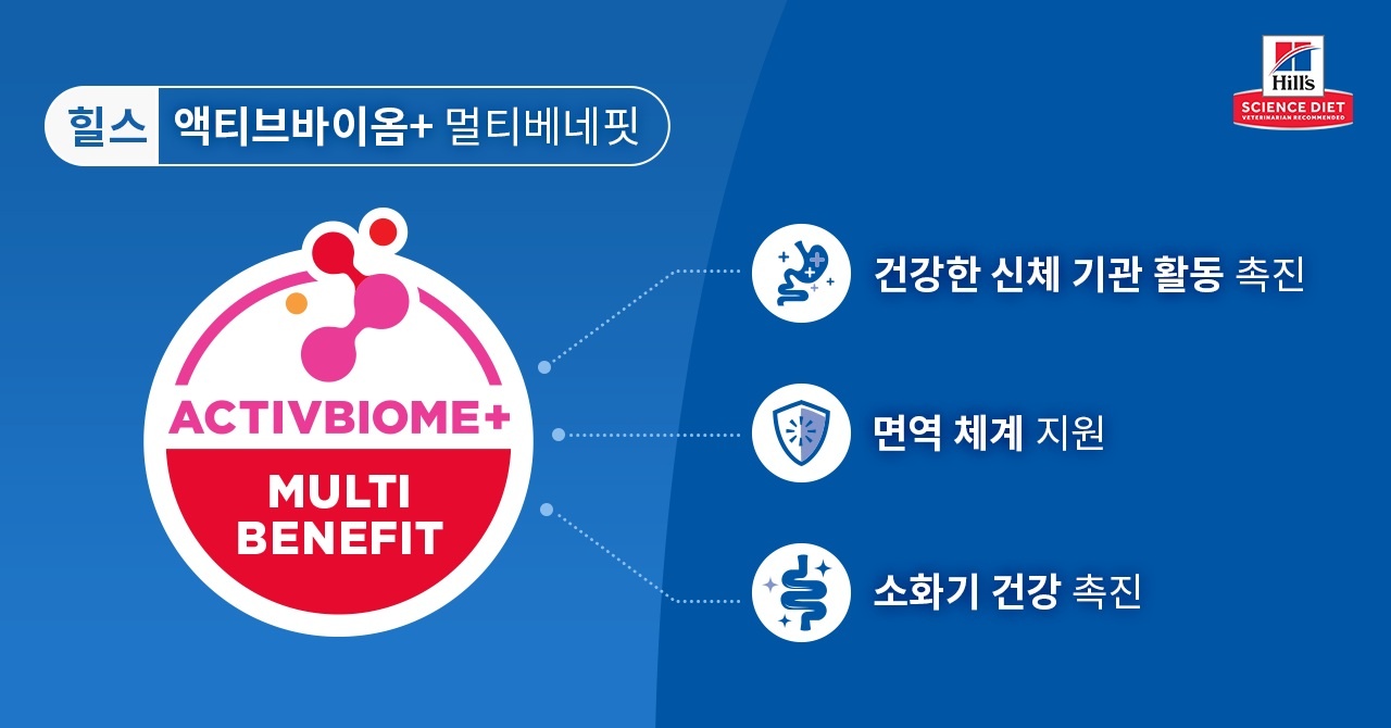 데일리벳 도박