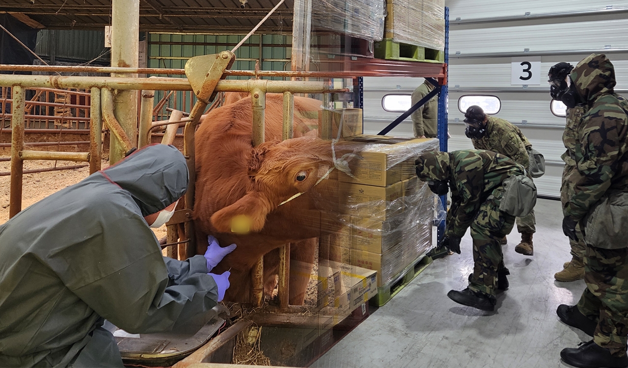 수의대 남학생들, 졸업 다가올수록 현역 입대 선호 ‘공방수·장교 복무기간 줄여야’