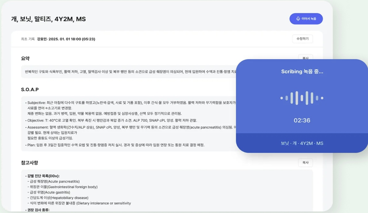 벳플레이스