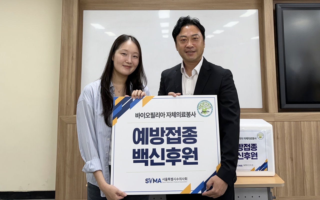 데일리벳 추천