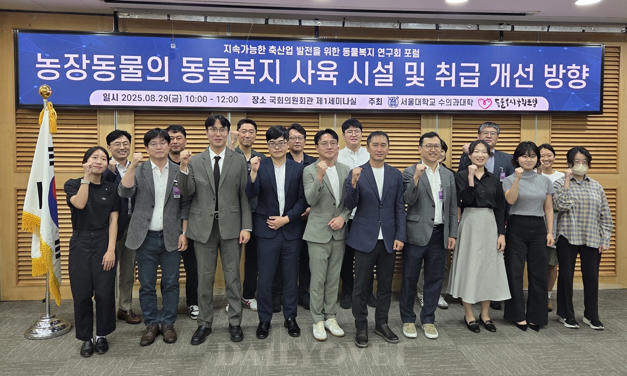 데일리벳
