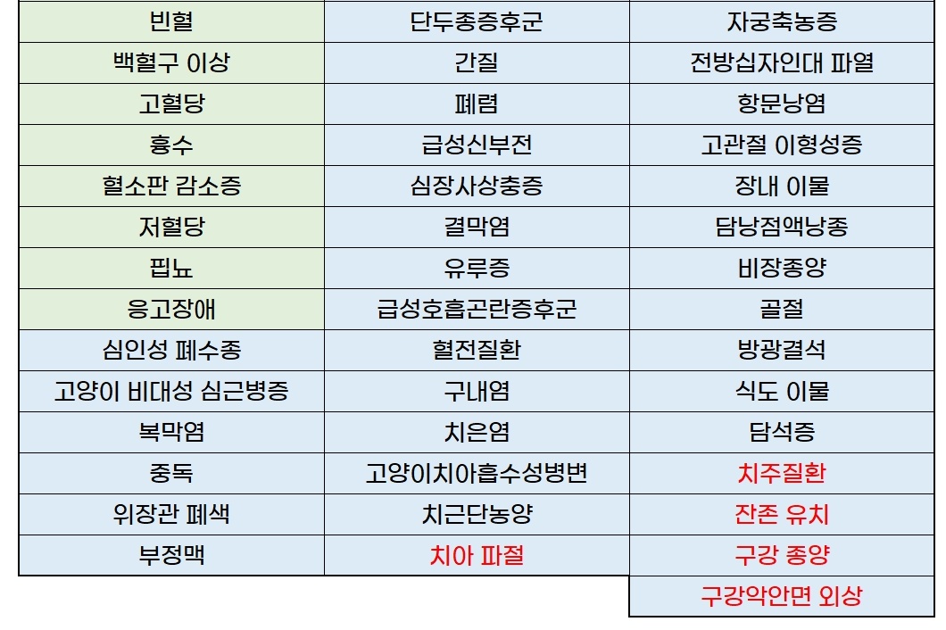 식욕부진, 치주질환, PSS도 부가세 면세…반려동물진료비 부가세 면제 대상 확대