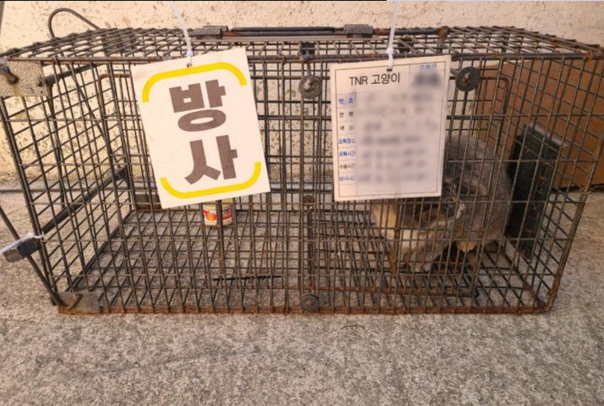데일리벳 베팅