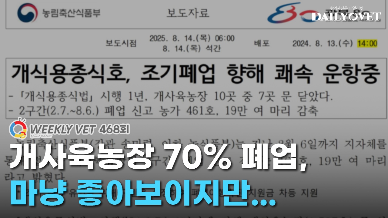 데일리벳 카지노 사이트