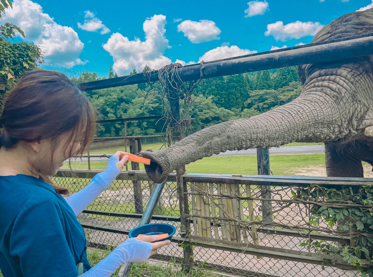 전북대·日야마구치대, 수의대생 교환 프로그램 이어가