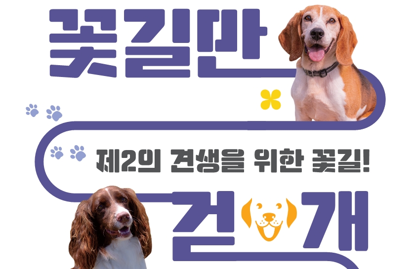 은퇴 검역탐지견 입양, 언제든지 신청하세요