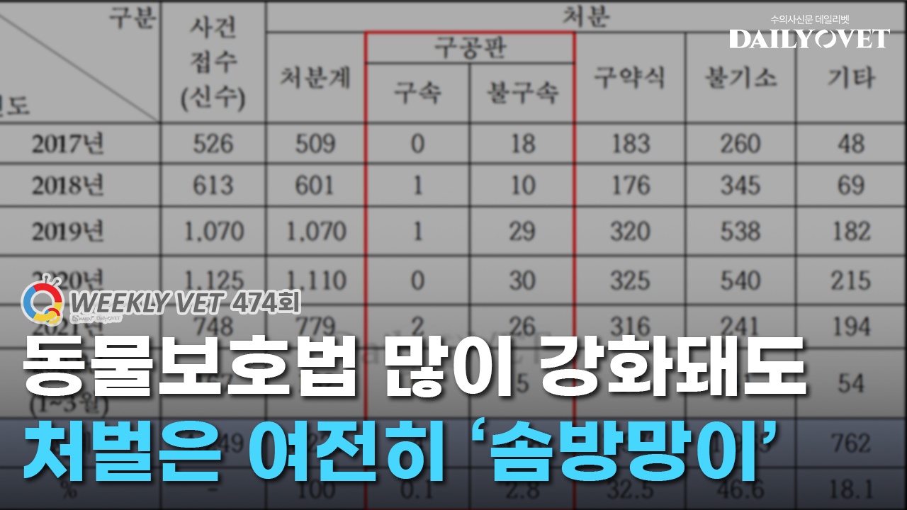 [위클리벳 474회] 동물학대 신고 매일 18건…처벌은 여전히 솜방망이?
