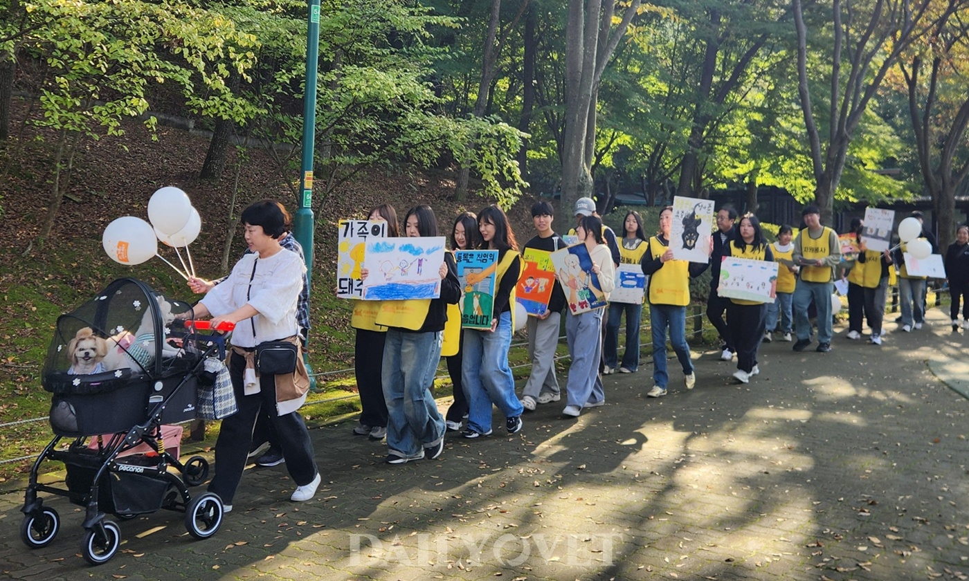 “유기동물 입양을 위한 따뜻한 발걸음” 울산 유기동물 입양 홍보 캠페인