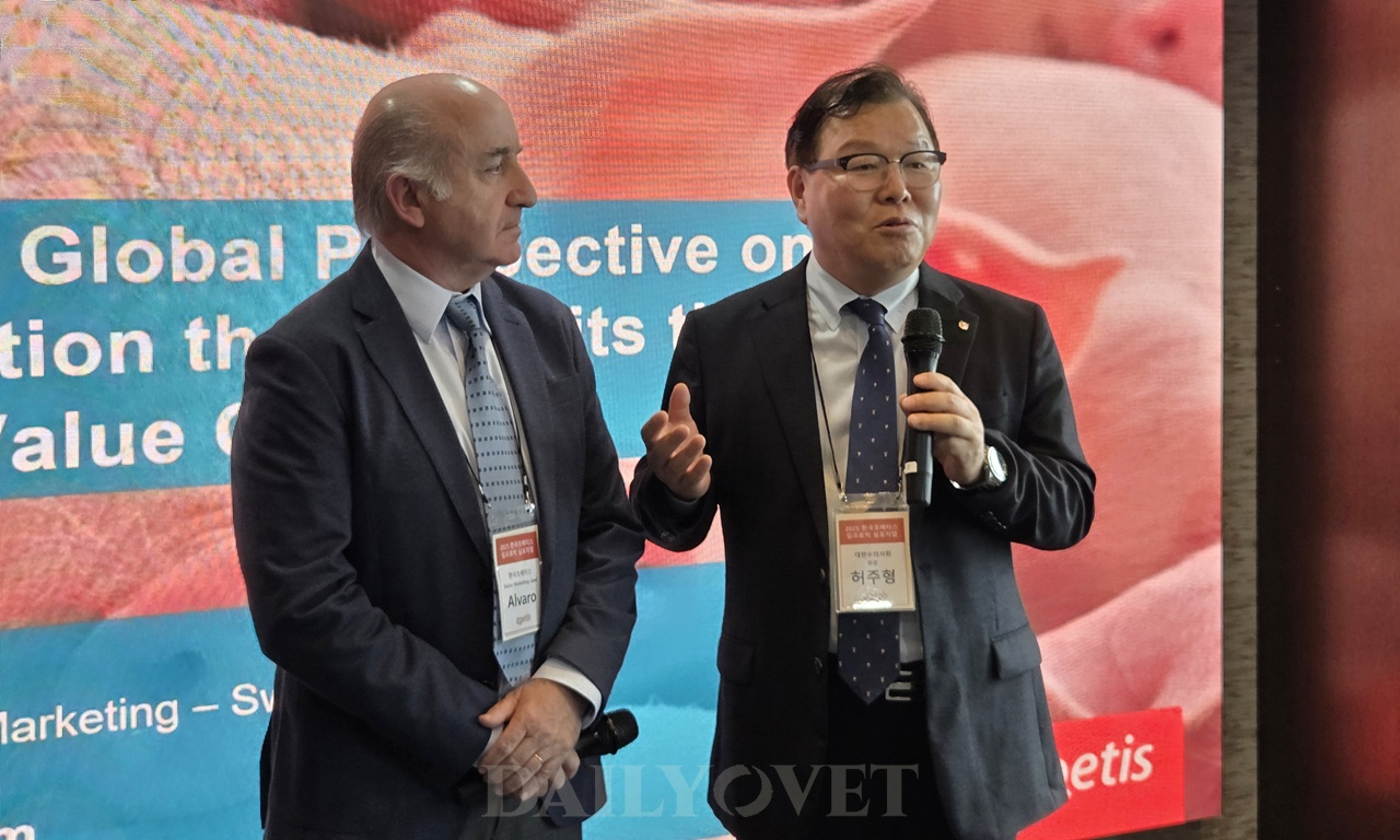 ‘생산비 절감+동물복지’ 2마리 토끼 잡는 수퇘지 웅취 예방 백신 ‘임프로박’ 국내 재출시