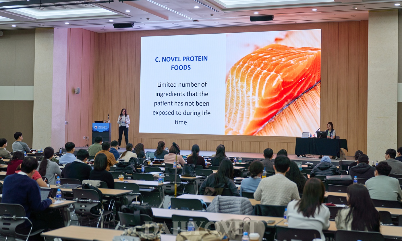 이 이미지는 대체 속성이 비어있습니다. 그 파일 이름은 20251101hills_fasava3.jpg입니다